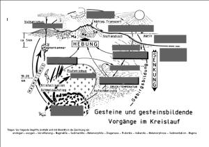 Grafik zum Kreislauf